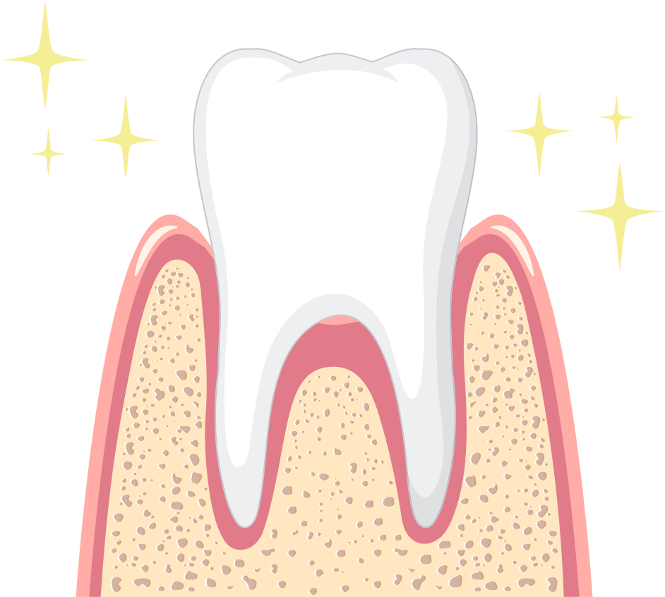 tooth
